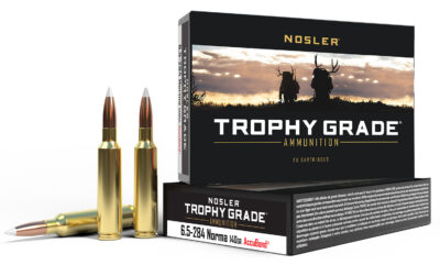 Nosler 60040 Trophy Grade  6.5×284 Norma 140 gr AccuBond 20 Bx/ 10 Cs