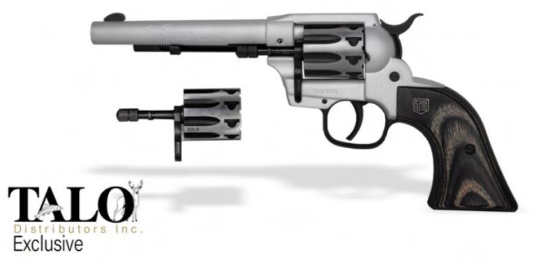 DBF DB SILVER SK 22LR|22M 9 TL