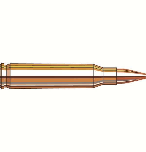 FRONTIER® 223 REMINGTON MATCH® HOLLOW POINT RIFLE AMMO FRONTIER 223 REMINGTON 55GR MATCH HOLLOW POINT 50/BOX