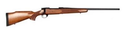 LSI HOWA M1500 WALNUT HUNTER 22-250REM 22