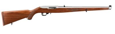 10/22 INTERNATIONAL SS/WD 22LR