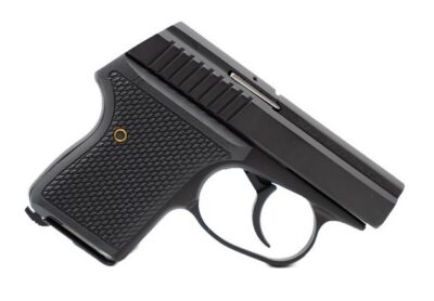 Seecamp LWS-380 Black .380 6+1