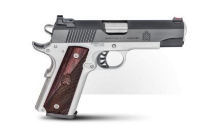 Springfield 1911 Ronin, 9mm, 4.25″, Blue/SS