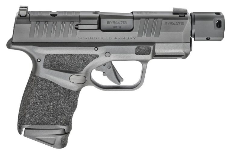 Hellcat RDP WO/Optic 9MM 3.8" 10RD