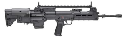 HELLION 5.56 BLK 20″ 10+1
