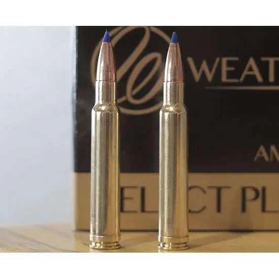 WBY 340WBY 225GR INT 20RD
