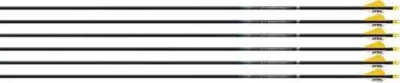 Easton Sonic 6.0 Arrows Factory Helical 300 6 pk.