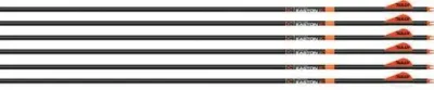 Easton 6.5mm Bowhunter Arrows 300 2 in. Bully Vanes 6 pk.