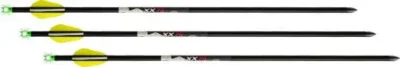 Wicked Ridge Lighted Alpha Brite Arrows Aluminum 20 in. 3 pk.