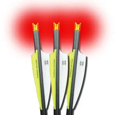 Lumenok Carbon Crossbow Bolts 20 in. HD Orange Moon Nocks 3 pk.