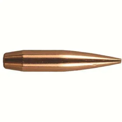 30 cal 180gr Elite Hunter Bullet