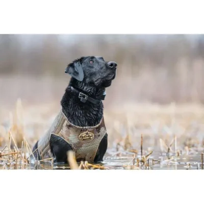 Bloodline Dog Vest  Optifade Timber M