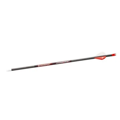 JUDGEMENT ARROW 500 SPINE (6 PACK)