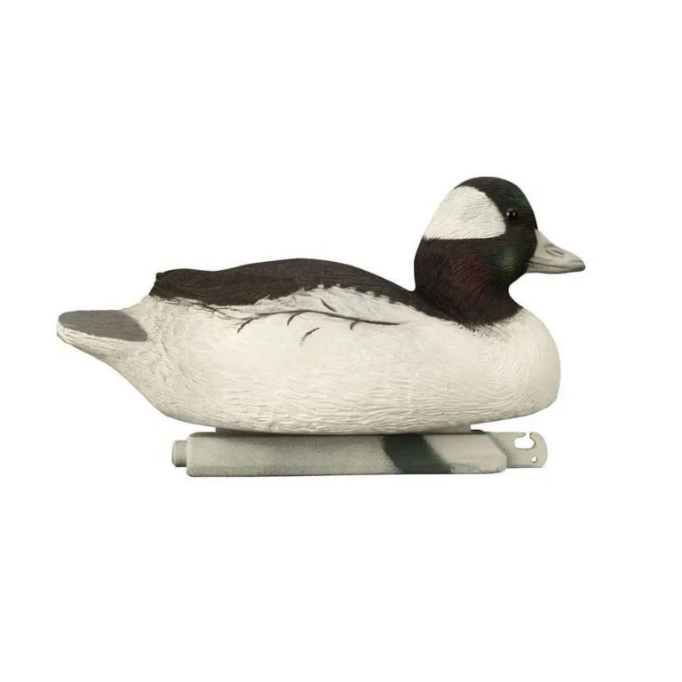 Battleship Diver Pk 2 Bluebills 2 Canvasbacks 1 Bufflehead 1 Goldeneye Battleship Diver Pk 2 Bluebills 2 Canvasbacks 1 Bufflehead 1 Goldeneye
