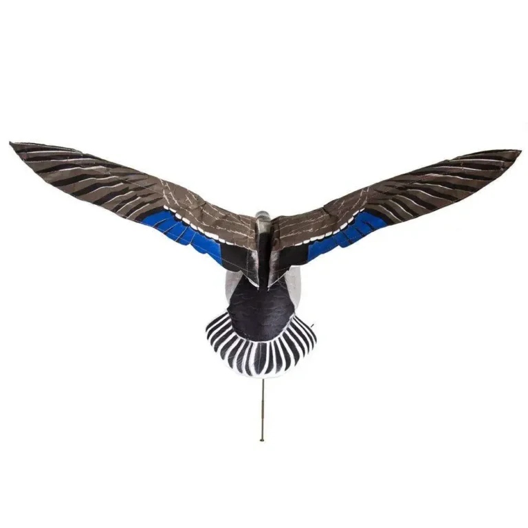 Higdon Outdoors Clone Drake Mallard Higdon Outdoors Clone Drake Mallard