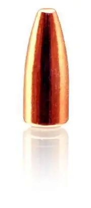 7.62X39 (.311) 123GR SP 250ct