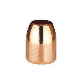 .50 CAL 300GR RS 500ct