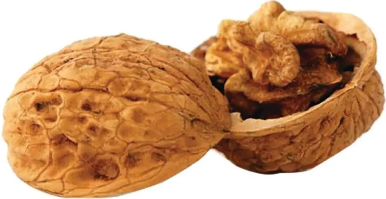 Berry’s Walnut Media 8 lb. Box Berry’s Walnut Media 8 lb. Box