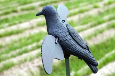 Mojo Crow Decoy