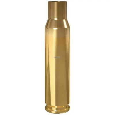 .308 WIN 100/BOX BRASS