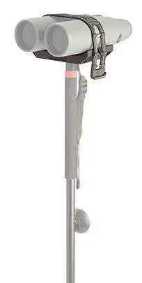 BOG BBR BINO REST