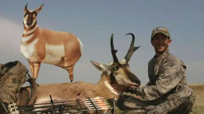 Montana Decoy Antelope Buck