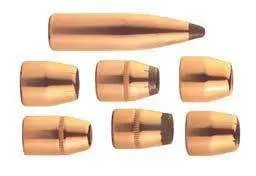 SI 41 CALIBER.410-170GR. JHC