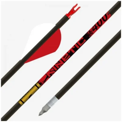 Gold Tip Kinetic 500 2in Raptor Vanes – 1/2dz