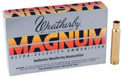 WBY BRASS .416 WBY 20 Count