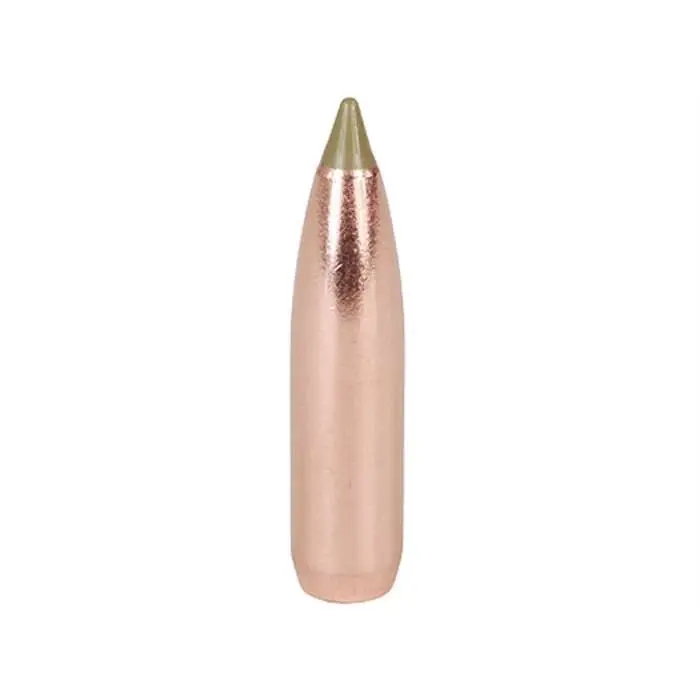 9.3mm 250gr E-Tip Lead Free (50 ct.) 9.3mm 250gr E-Tip Lead Free (50 ct.)