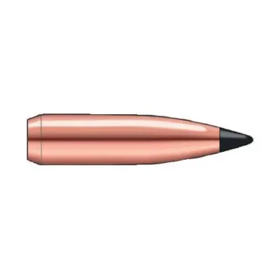 .30CAL 308DIA 165GR 100ct