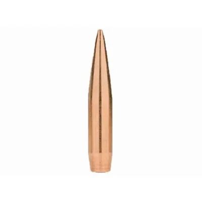 22 CAL 95 GR HPBT MATCHKING 500 RDS