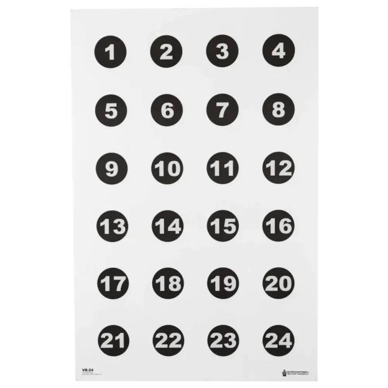ACTION VB24100 24 3″ NUMBERED CIRCLES (100 BOX) ACTION VB24100 24 3″ NUMBERED CIRCLES (100 BOX)