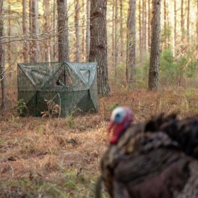 Primos Double Bull Stakeout Blind Mossy Oak Greenleaf