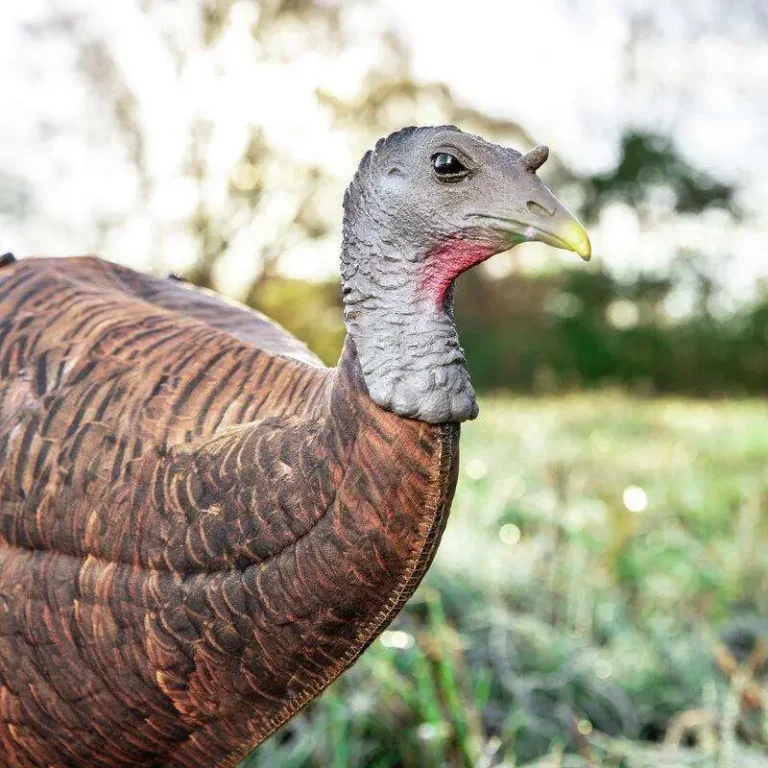 Primos Photoform Leading Hen Turkey Decoy Primos Photoform Leading Hen Turkey Decoy