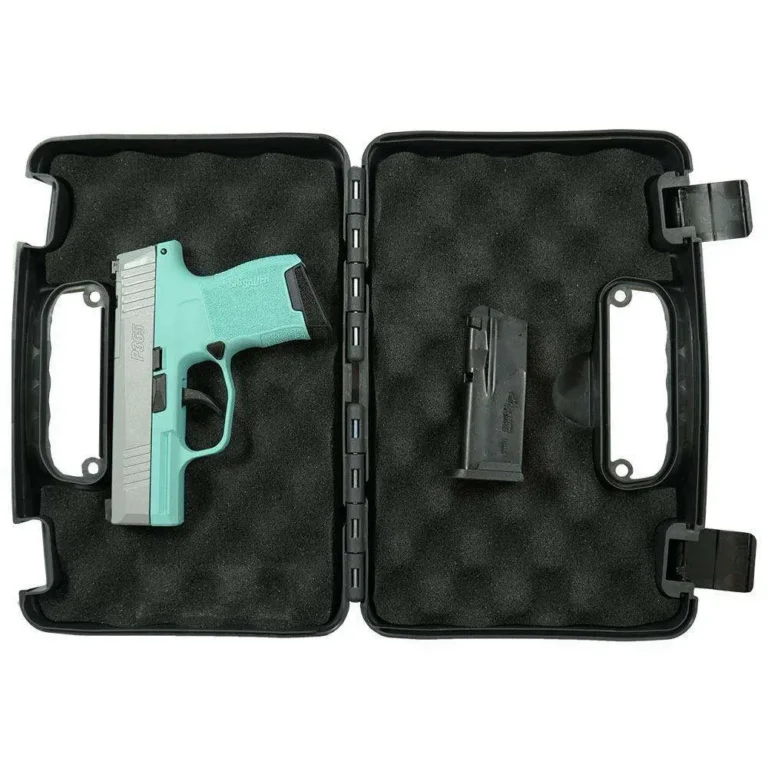 P365 9MM 3.1 BLK STRIKR XRAY3 OR 2 MAG-Robins Egg Blue Fram Slvr Sl P365 9MM 3.1 BLK STRIKR XRAY3 OR 2 MAG-Robins Egg Blue Fram Slvr Sl