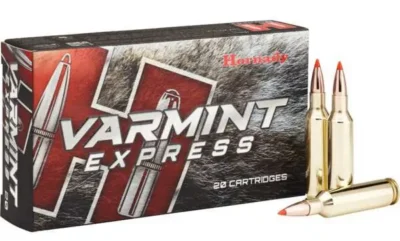 HRN 6MMCR 87GR V-MAX 20RD