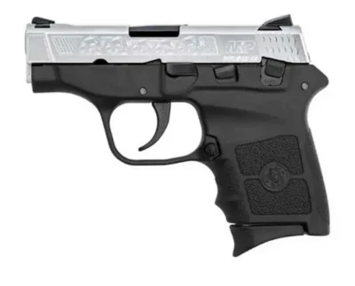 Smith & Wesson 10110 M&P 380 Bodyguard 380 ACP 2.75″ 6+1 Black Stainless Steel E