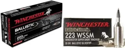 Winchester Ammo SBST223SS Ballistic Silvertip  223 WSSM 55 gr Polymer Tip 20 Bx/