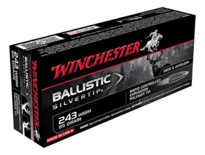 Winchester Ammo SBST243SSA Ballistic Silvertip  243 WSSM 95 gr Polymer Tip 20 Bx
