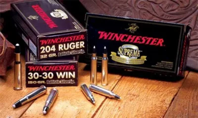 Winchester Ammo SBST3006A Ballistic Silvertip  30-06 Springfield 168 gr Polymer