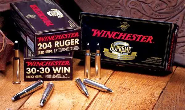 Winchester Ammo SBST3006A Ballistic Silvertip  30-06 Springfield 168 gr Polymer