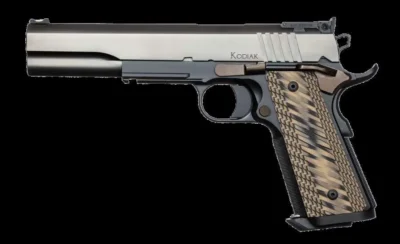 Dan Wesson 01852 Kodiak  10mm Auto 6.03″ 8+1 Black Duty Finish Stainless Steel S