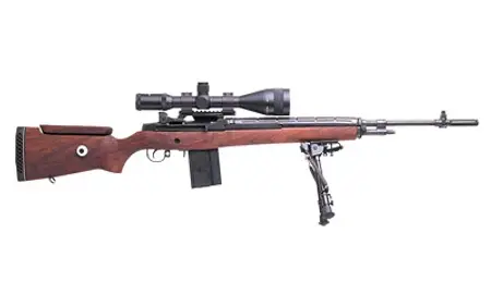 Springfield Armory SA9121 M1A M21 Tactical 308 Win,7.62 NATO 22″ 10+1 Blued Walnut Springfield Armory SA9121 M1A M21 Tactical 308 Win,7.62 NATO 22″ 10+1 Blued Walnut