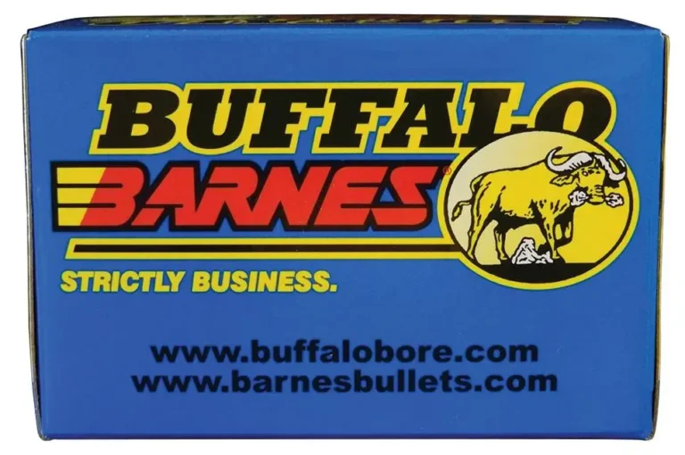 Buffalo Bore Ammunition 8F/20 Buffalo-Barnes 45-70 Gov 300 gr Barnes TSX Flat N Buffalo Bore Ammunition 8F/20 Buffalo-Barnes 45-70 Gov 300 gr Barnes TSX Flat N