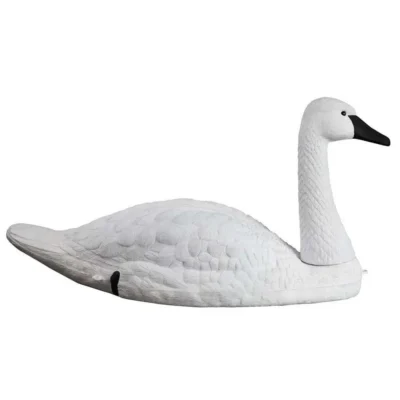 Standard-Size Tundra Swan