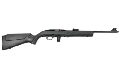 RS22 22LR BLK/GRAY 18″ 10+1  #