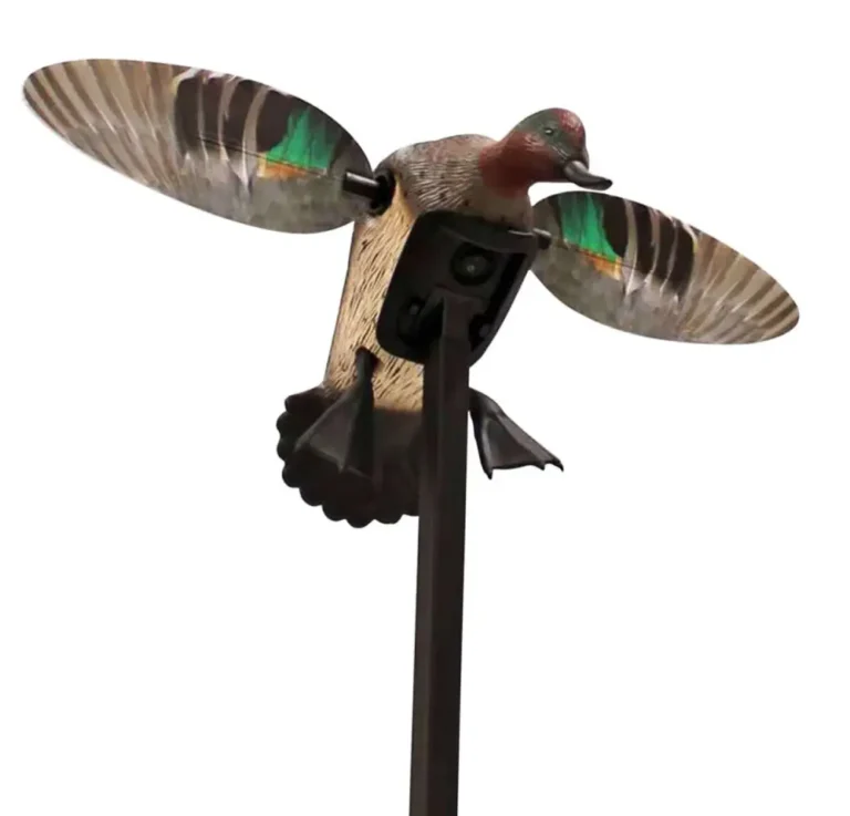 MOJO ES – Green Wing Teal MOJO ES – Green Wing Teal