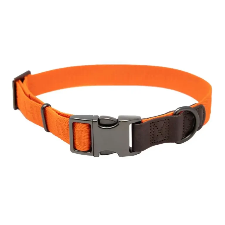 Higdon Adjustable Dog Collar (15in-23in) – Hunter Orange Higdon Adjustable Dog Collar (15in-23in) – Hunter Orange