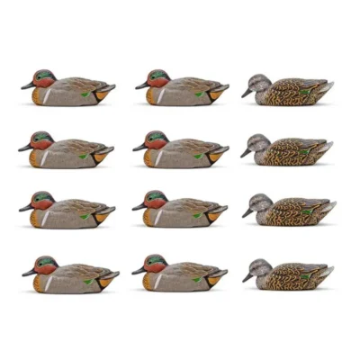 Green-Winged Teal Decoy Twelve-Pack  EVA